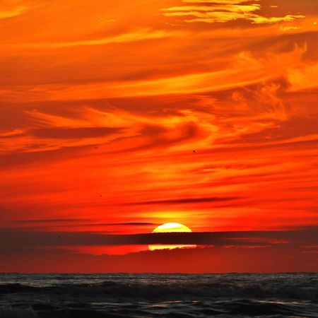 Ferienhaus Geniessen Am Meer Mit Wellnesszugang Egmond aan Zee Exteriér fotografie