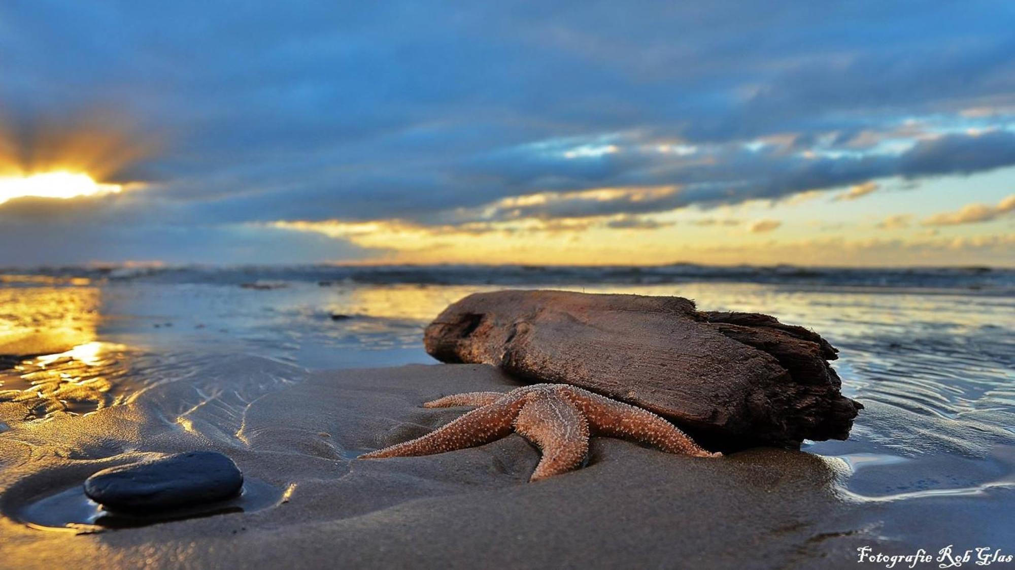 Ferienhaus Geniessen Am Meer Mit Wellnesszugang Egmond aan Zee Exteriér fotografie
